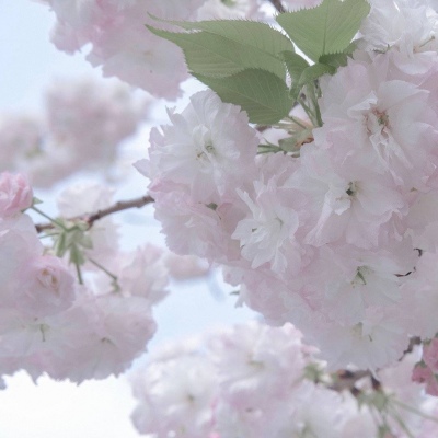 兽设动态姿势绘画参考兽圈群